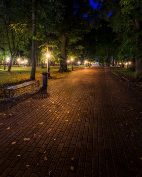 A night park lit by lanterns with a stone pavement, trees, fallen leaves and benches in early autumn. Cityscape.