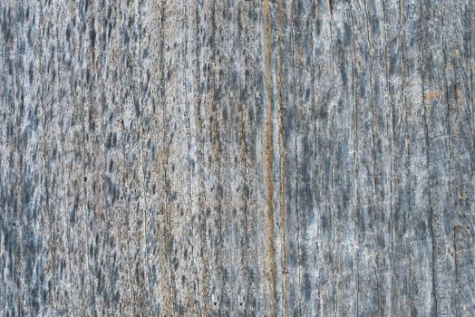 Wood texture background. Surface of old knotted wood with nature color, texture and pattern.