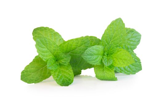 Closeup fresh pepper mint isolated on white background, herb and health care concept, selective focus 