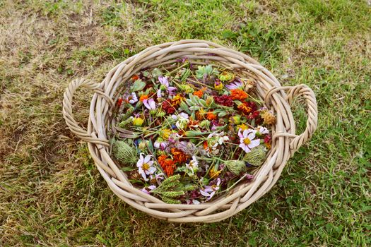 Large woven basket filled with faded garden flowers, plants deadheaded to encourage fresh flowers to grow