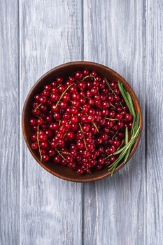 Fresh sweet red currant berries with rosemary leaves in wooden bowl, grey wood background, top view