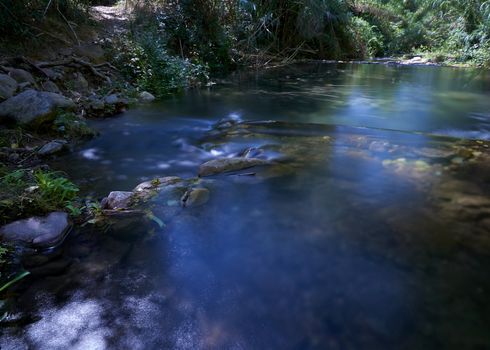 River of transparent waters among the vegetation. idyllic, long exposure