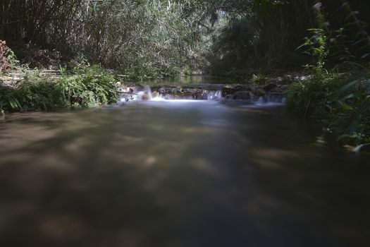 River of transparent waters among the vegetation. idyllic, long exposure