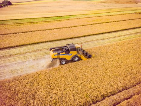 Aerial View of Combine Harvester Harvesting Wheat. Combine Harvester Working on The Large Wheat Field.