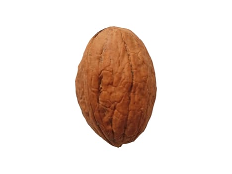 A walnut isolated on a white background