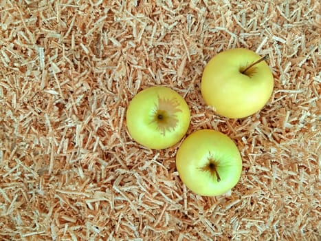 White apples on the background of sawdust.