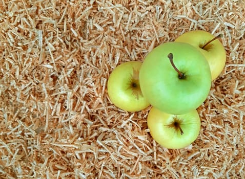 White apples on the background of sawdust.