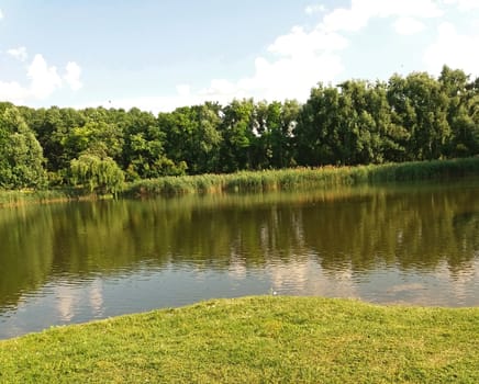 Landscape with a beautiful lake in the summer.