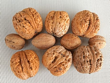 Big vs small walnuts on canvas background.