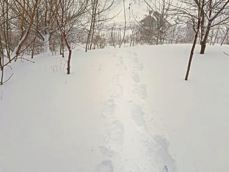 Human footprints in the deep snow. Winter snow.