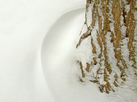 A lot of snow around a tree.
