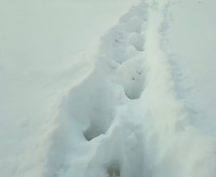 Deep Human footprints in the snow close up.