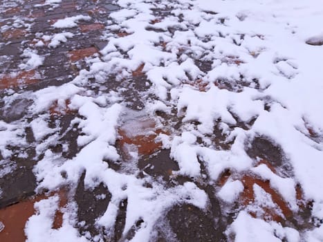 Chicken footprints in the snow in winter.