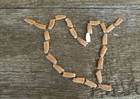 Seeds in the form of a heart close up.