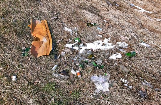 Ecological disaster concept, broken glass bottles in the nature