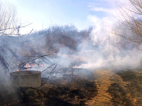 Forest fire burning dry grass and smoky.