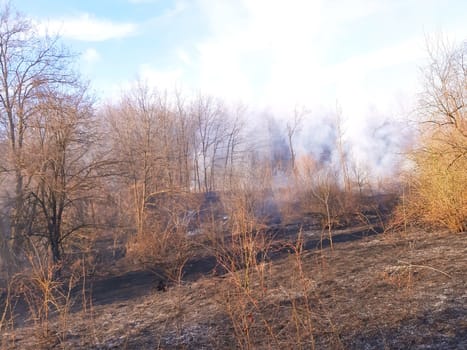 Forest fire and lots of smoke disaster.