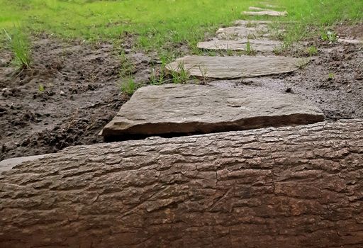 Stone path in the yard among them grows grass.