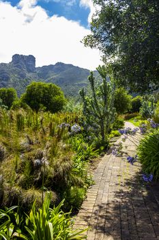 Trail Walking path in Kirstenbosch National Botanical Garden, Cape Town, South Africa.