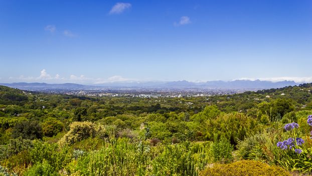 Panoramic view of Cape Town and nature in Kirstenbosch National Botanical Garden, South Africa.