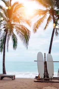 Many surfboards beside coconut trees at summer beach with sun light and blue sky background.