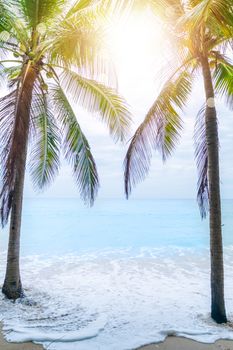 Tropical nature clean beach and white sand in summer with palm tree leaf sun light blue sky and bokeh abstract  background.