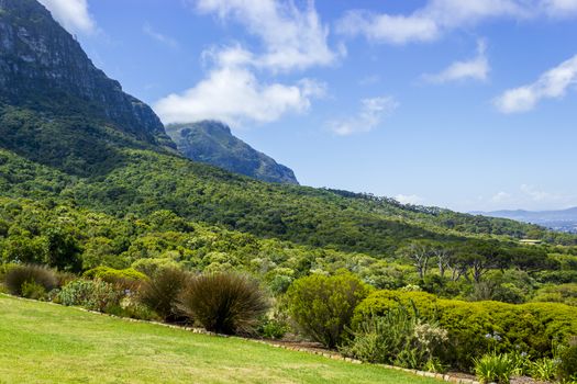 Mountains and trails Kirstenbosch National Botanical Garden, Cape Town, South Africa.