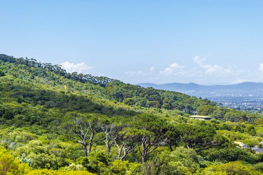 Panoramic view of Cape Town from the Kirstenbosch National Botanical Garden in South Africa.