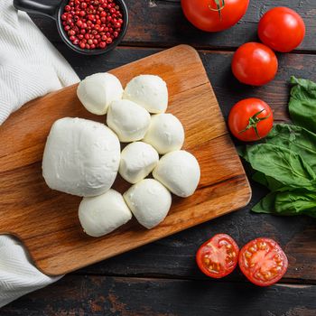 Mozzarella cheese balls, cherry tomatoes and green fresh organic basil square top view.