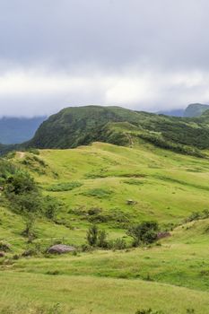 Beautiful grassland, prairie in Taoyuan Valley, Caoling Mountain Trail passes over the peak of Mt. Wankengtou in Taiwan.