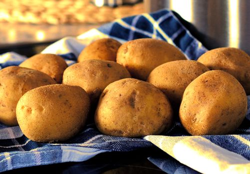 Potatoes on the blue kitchen towel. High quality photo
