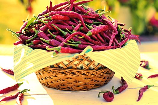 Chili peppers in wicker basket in the garden.