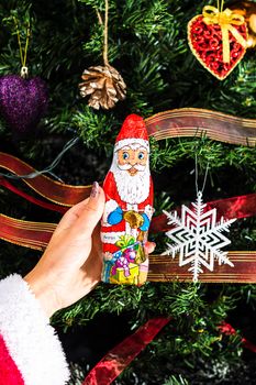 Hand holding Santa Claus chocolate figurine in front of the Christmas tree. Decorating Christmass tree isolated