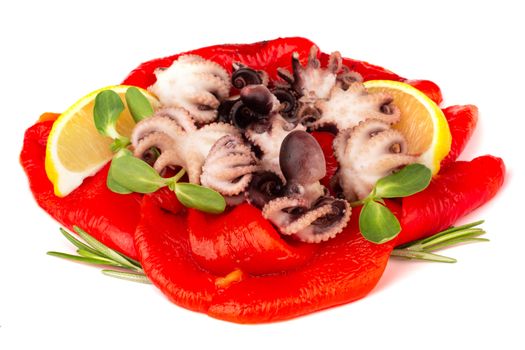 Cooked small baby octopus with garnish of baked paper lemon and salad isolated on white background