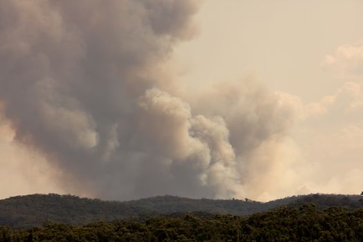 Bush fire smoke in a valley in The Blue Mountains in Australia