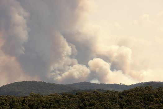 Bush fire smoke in a valley in The Blue Mountains in Australia