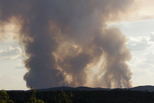 Bush fire smoke in a valley in The Blue Mountains in Australia