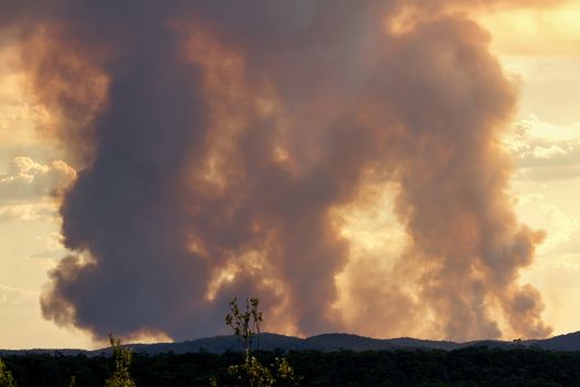 Bush fire smoke in a valley in The Blue Mountains in Australia