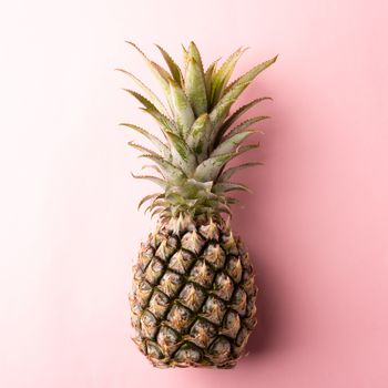 Close up above top view of ripe pineapple fruit on pink pastel background, Summer Tropical concept