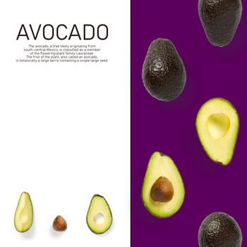 Modern creative avocado collage with simple text on solid color background. Avocado slices creative layout on purpule background. Flat lay, Design elements, Food concept