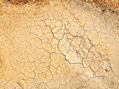 Light brown soil with cracked pattern