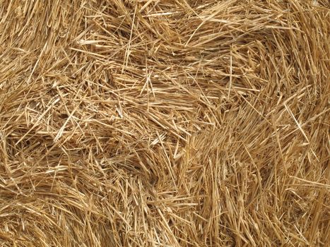 Close-up of a straw bale photographed in July.