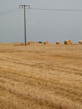 Round bales of straw on a field in Brandenburg, Germany.