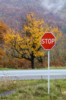 Close up road warning STOP sign over autumn mountain forest landscape background