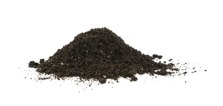 Close up one heap of black humus soil isolated over white background, low angle side view