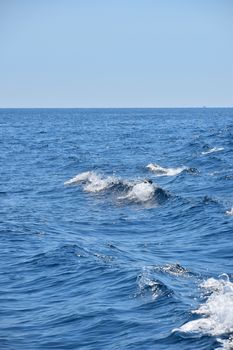 Tranquil seascape with calm sea water ripples and waves under clear day blue sky, high angle view