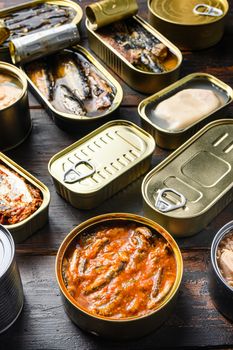 Conserves of canned fish with different types of seafood, opened and closed cans with Saury, mackerel, sprats, sardines, pilchard, squid, tuna, over dark wood old table side view, vertical.