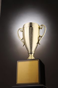 low angle of the trophy with light at the back