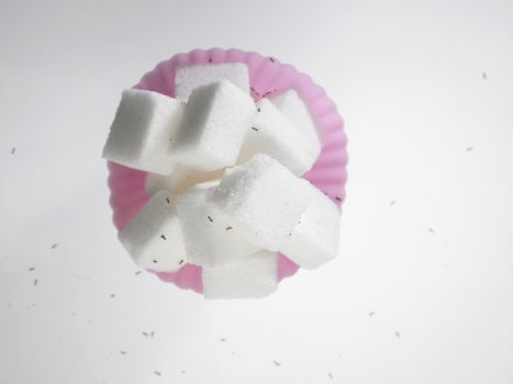 cube sugar in cup cake mold surrounded with ants