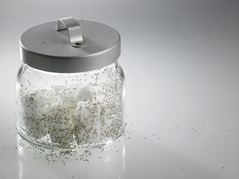 cube sugar surrounded by ants